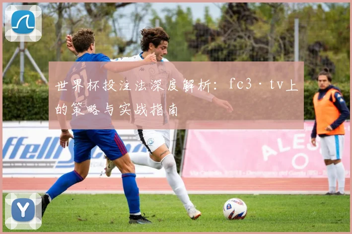 世界杯投注法深度解析：fc3·tv上的策略与实战指南