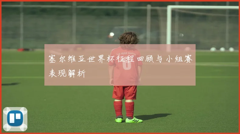塞尔维亚世界杯征程回顾与小组赛表现解析