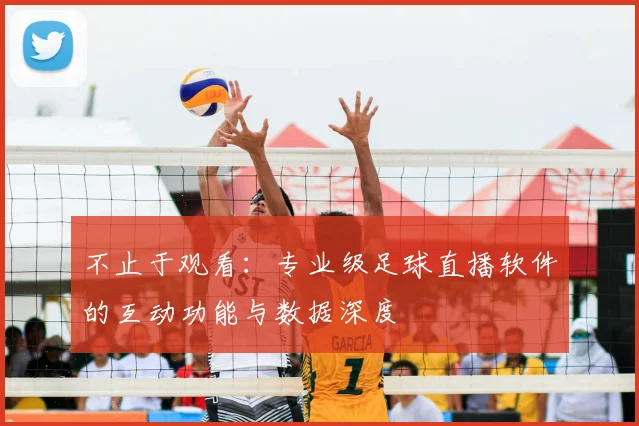 不止于观看:专业级足球直播软件的互动功能与数据深度