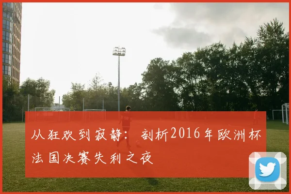 从狂欢到寂静：剖析2016年欧洲杯法国决赛失利之夜