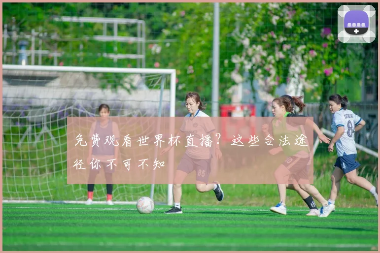 免费观看世界杯直播？这些合法途径你不可不知