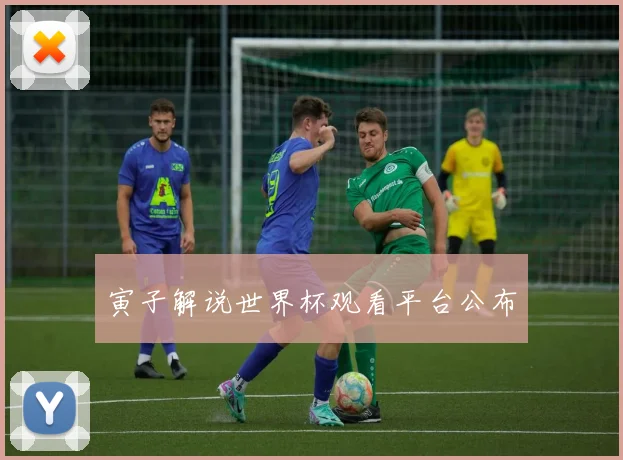 寅子解说世界杯观看平台公布