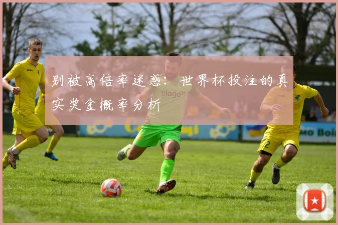 别被高倍率迷惑:世界杯投注的真实奖金概率分析