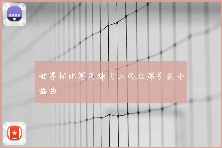 世界杯比赛用球飞入观众席引发小插曲