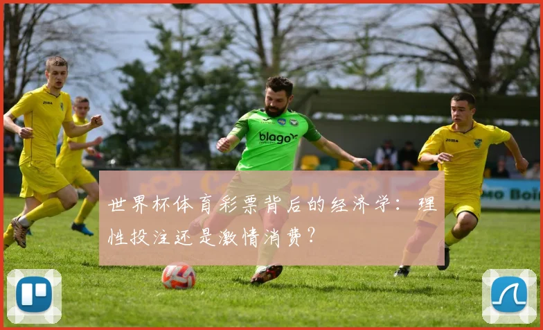 世界杯体育彩票背后的经济学：理性投注还是激情消费？