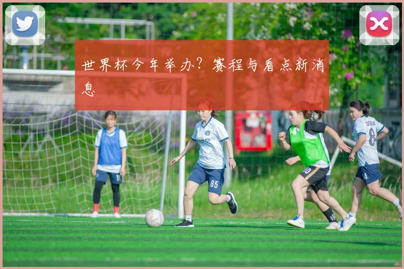 世界杯今年举办?赛程与看点新消息