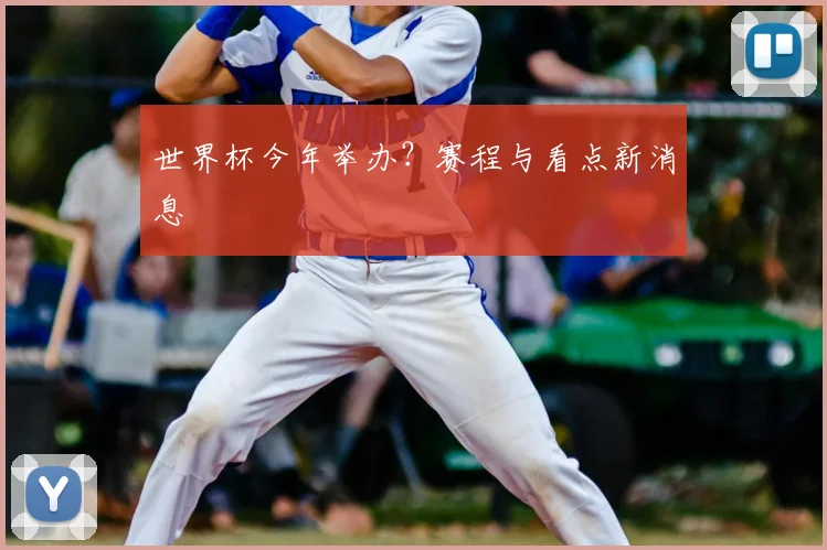 世界杯今年举办？赛程与看点新消息