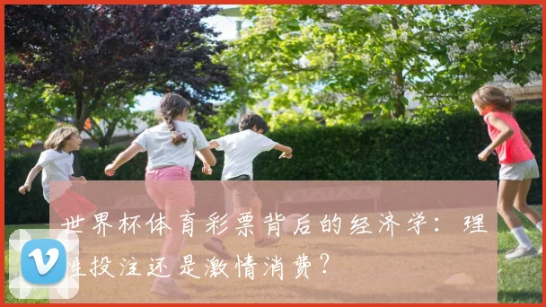 世界杯体育彩票背后的经济学：理性投注还是激情消费？