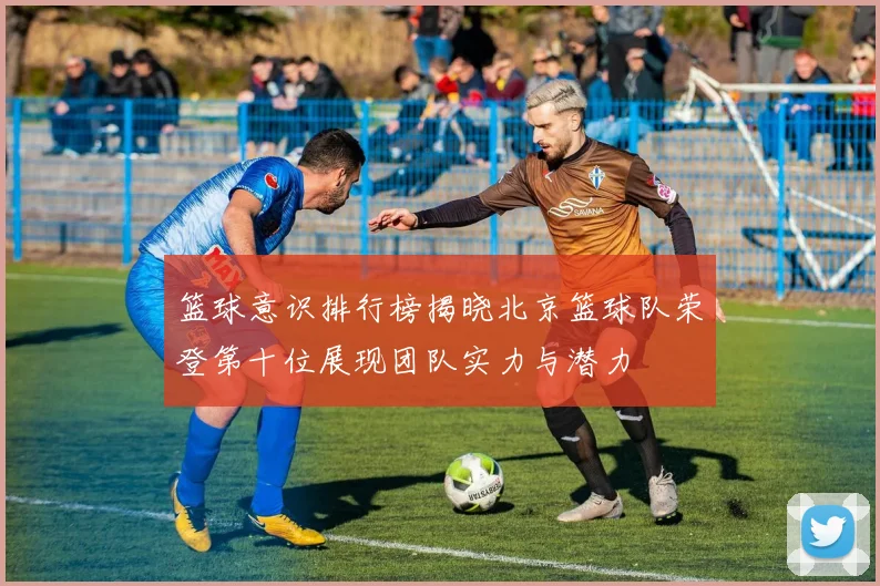篮球意识排行榜揭晓北京篮球队荣登第十位展现团队实力与潜力